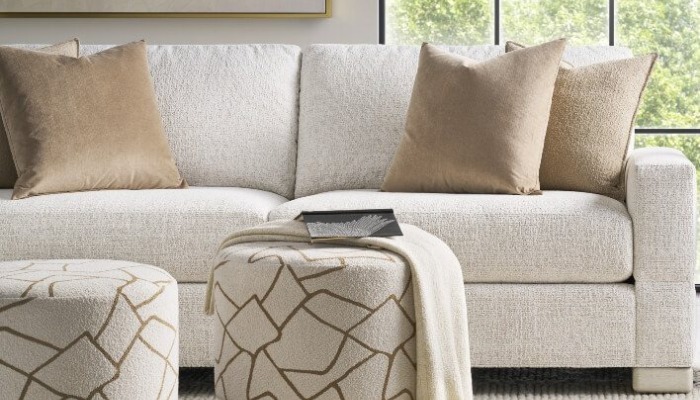 Living room furniture bought from Woodbridge Interiors in Scottsdale, AZ